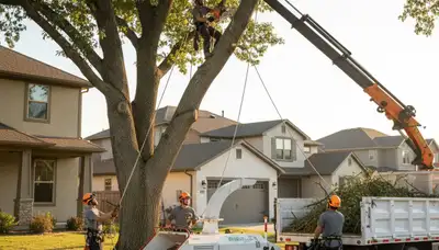 Professional tree removal team working in Lakeland, FL yard with safety gear and equipment
